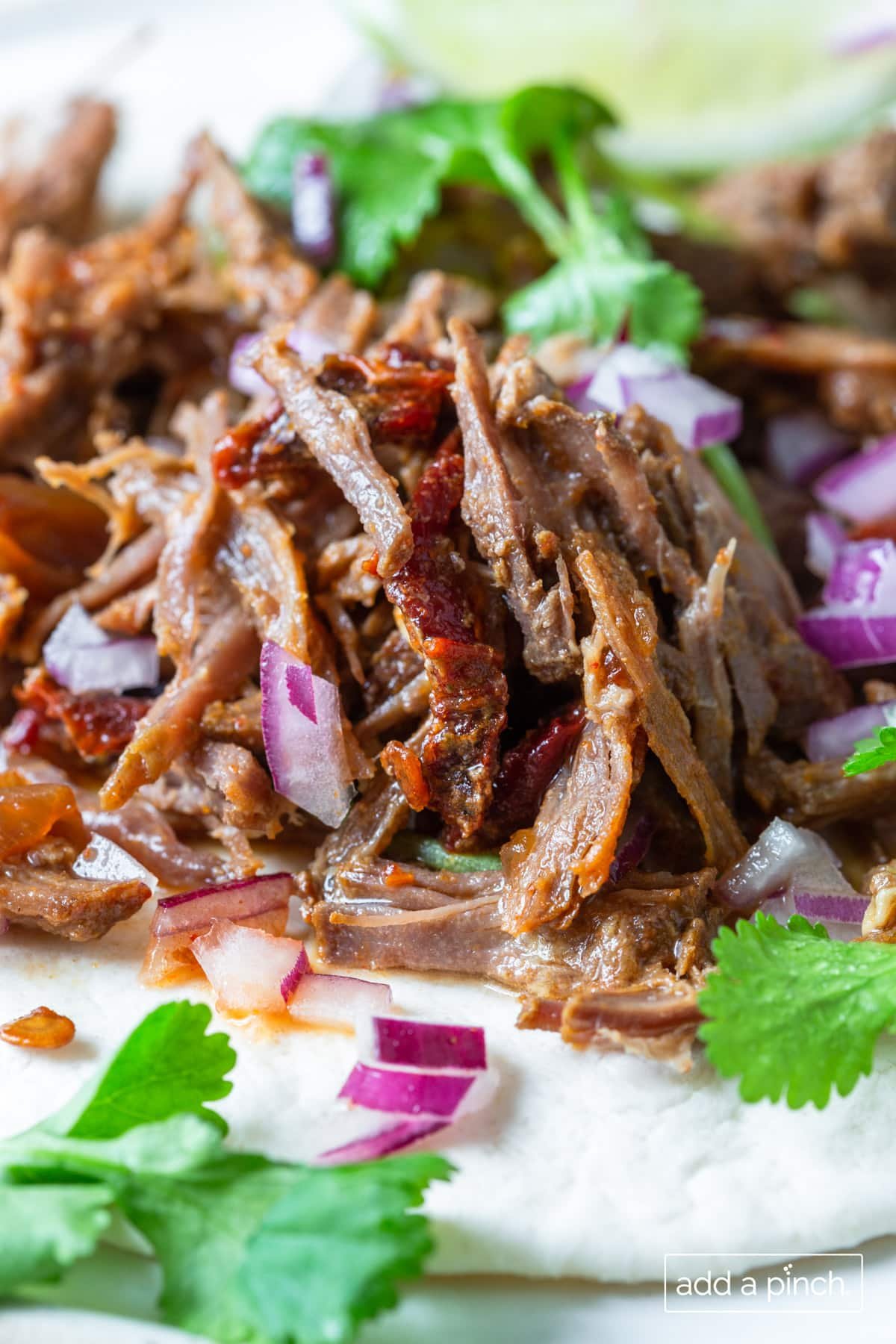 Photograph of barbacoa beef with cilantro, onions and spices on a tortilla.