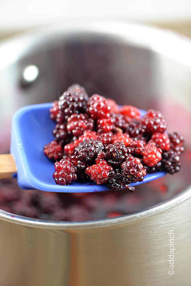 Blackberry Syrup Recipe from addapinch.com