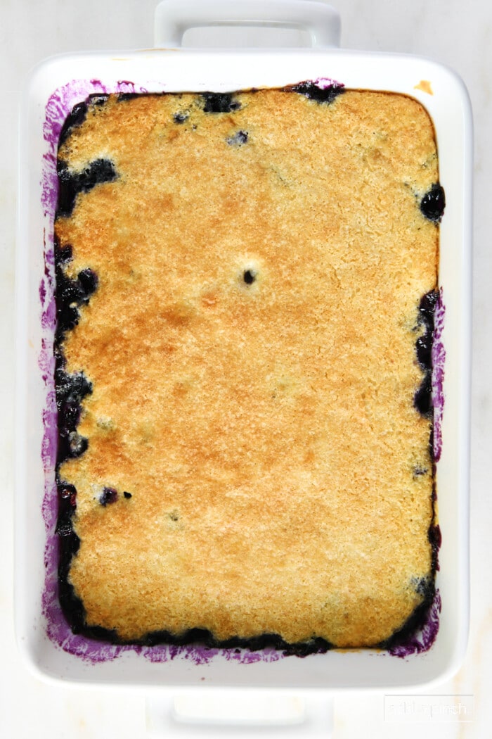 Baked golden cobbler topping on blueberries in a white baking dish.