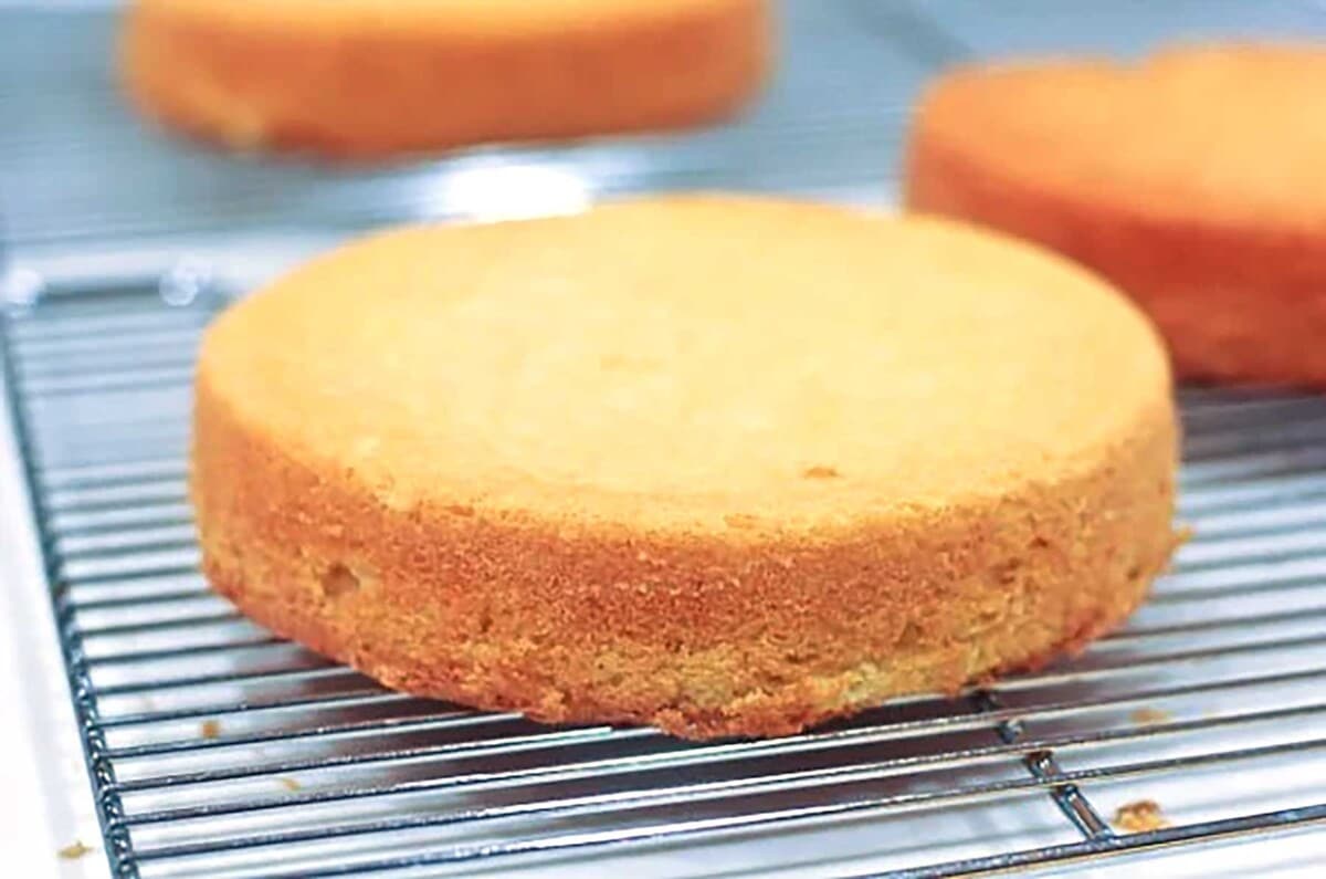 Cake layers cooling on a wire rack.