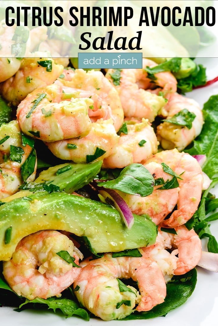 Citrus Shrimp Avocado Salad served on white plate - with text - addapinch.com