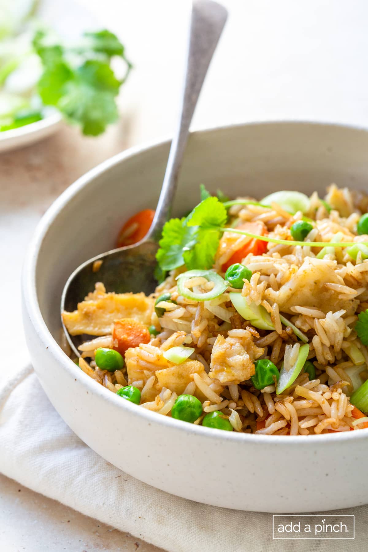Fried rice in a white bowl with a spoon.