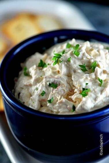 Salmon Dip Recipe from addapinch.com