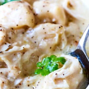 White soup bowl filled with crock pot chicken and dumplings with a bite on a spoon.