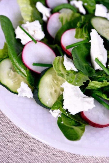 This Spinach Romaine Salad recipe makes a delicious welcome to spring! Topped with radishes, cucumbers, feta, and chives, it is sure to be a favorite! // addapinch.com
