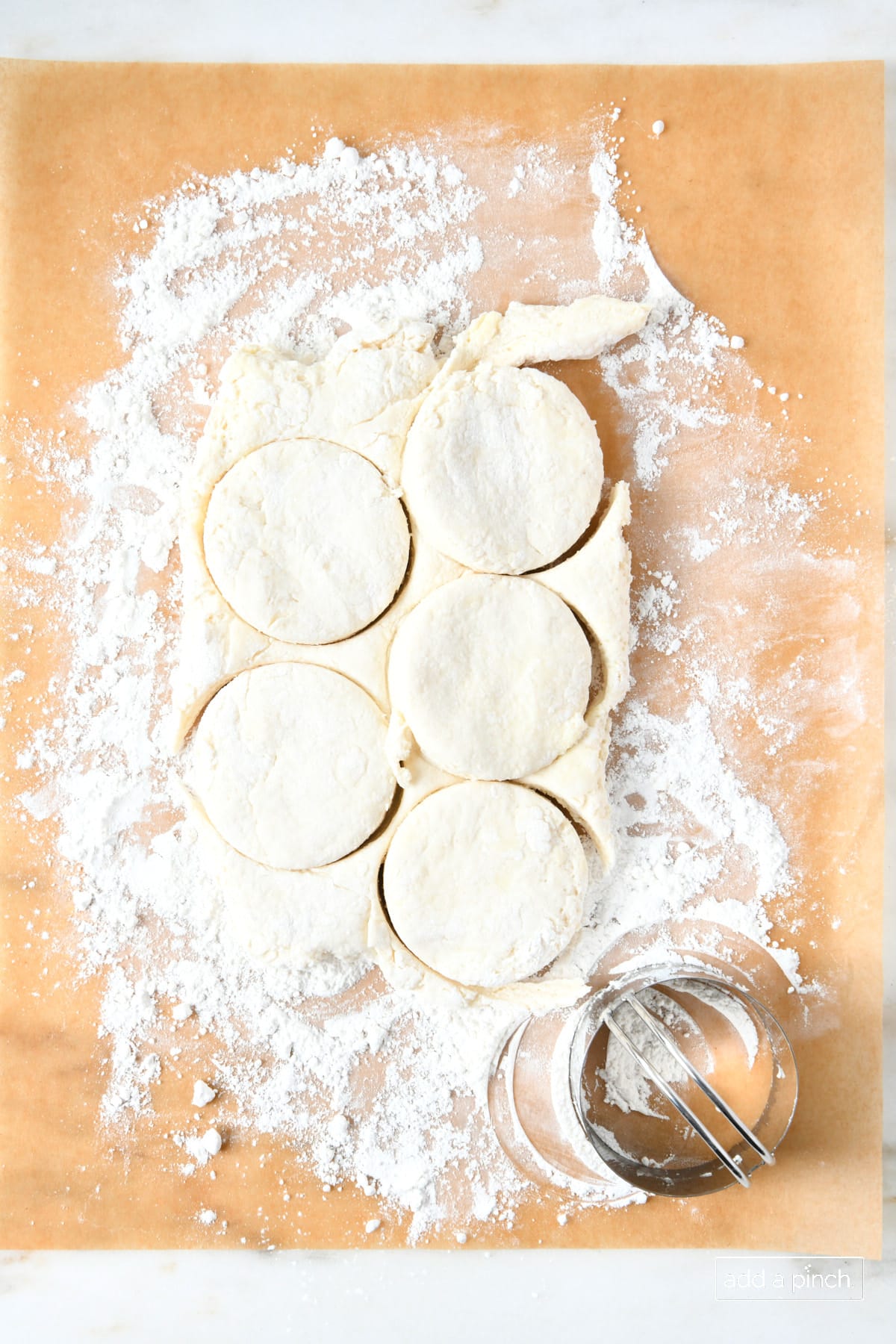 Biscuit dough being cut with sharp, round biscuit cutter.