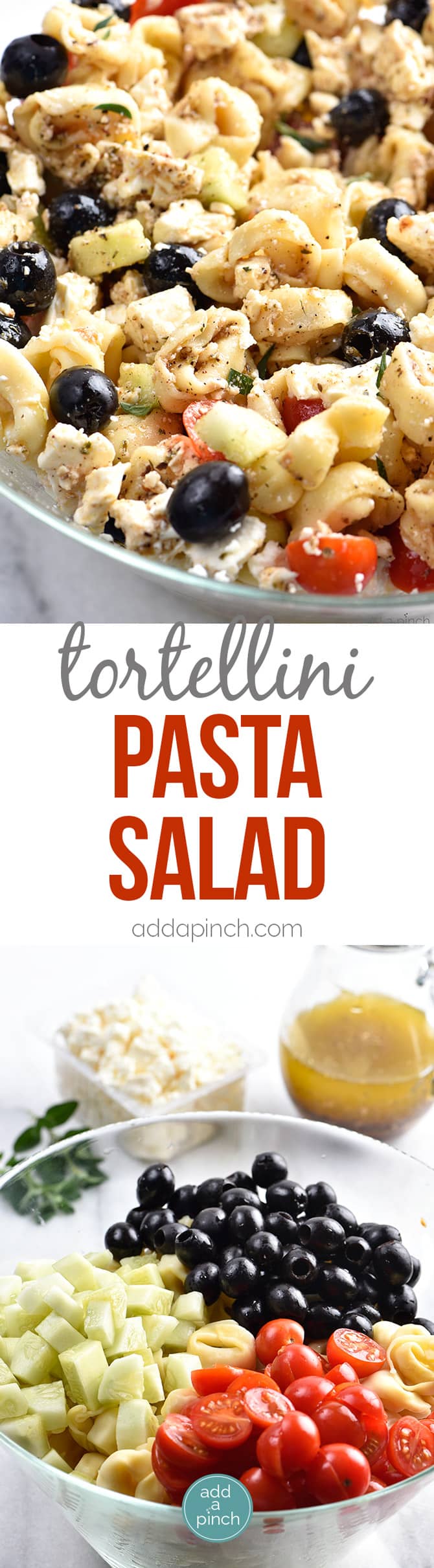 Easy Tortellini Pasta Salad Recipe - This easy Tortellini Pasta Salad recipe is a summer staple! Perfect for picnics, potlucks, reunions, or to make ahead for easy meals, this is a pasta salad you'll turn to time and again! // addapinch.com