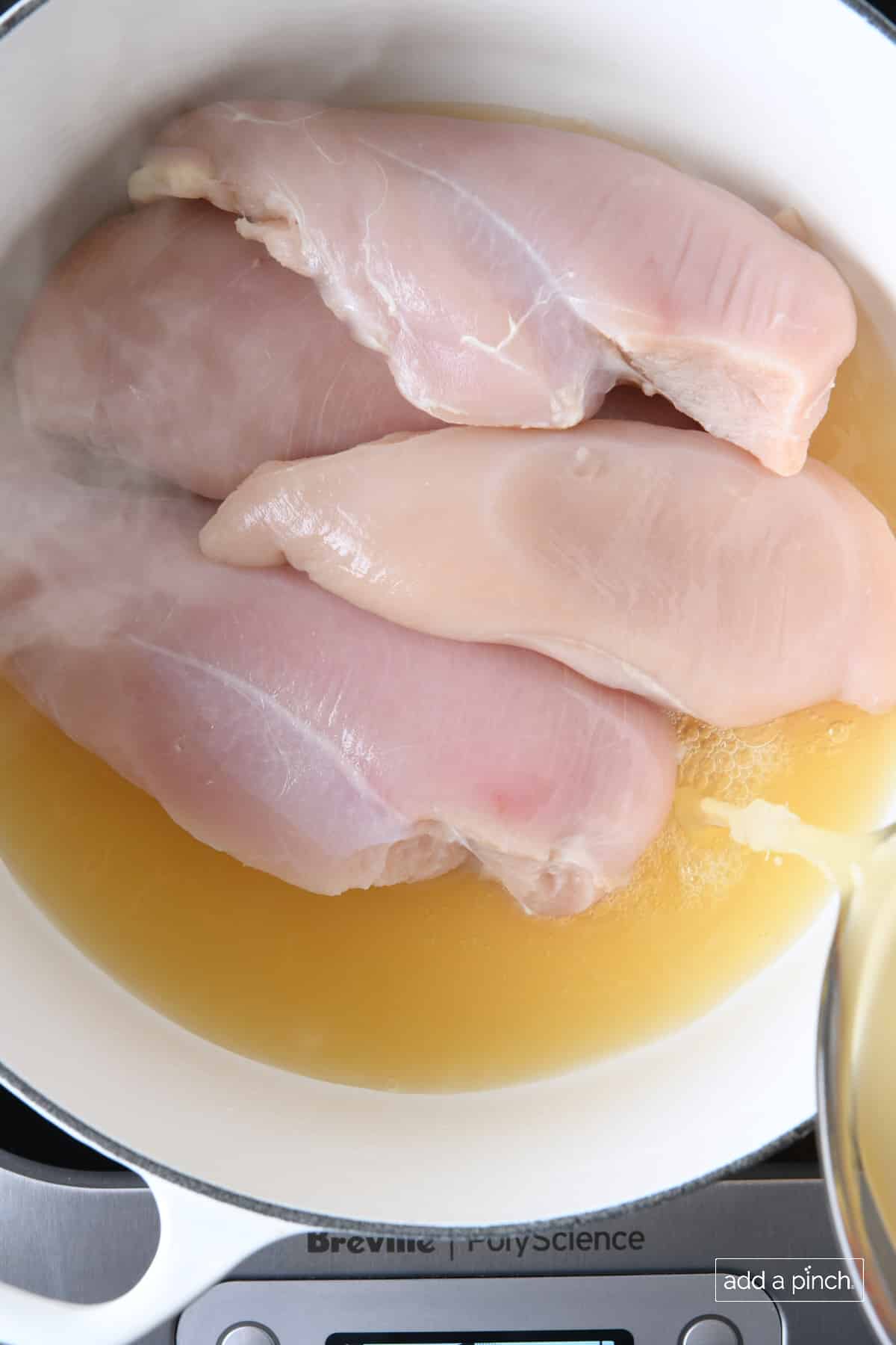 Chicken and chicken stock in a white Dutch oven.